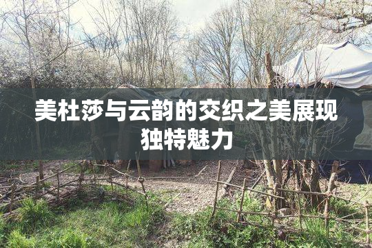 美杜莎与云韵的交织之美展现独特魅力