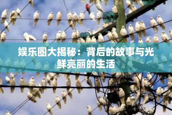 娱乐圈大揭秘：背后的故事与光鲜亮丽的生活