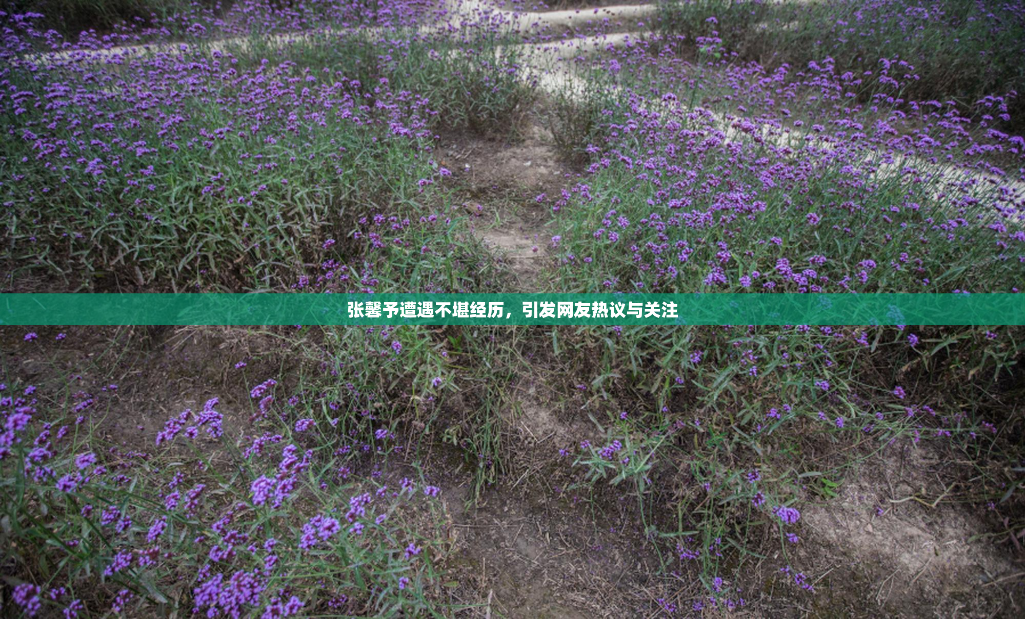 张馨予遭遇不堪经历，引发网友热议与关注