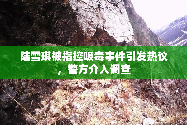 陆雪琪被指控吸毒事件引发热议，警方介入调查