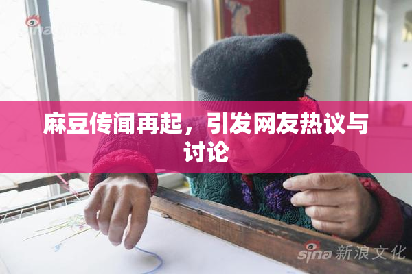 麻豆传闻再起，引发网友热议与讨论