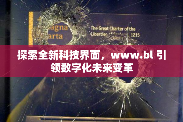 探索全新科技界面，www.bl 引领数字化未来变革