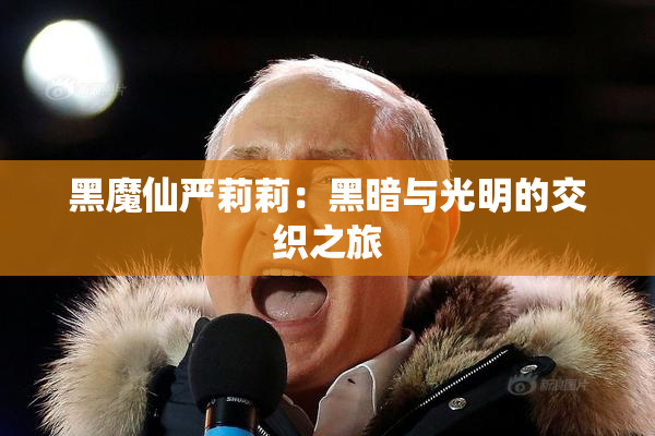 黑魔仙严莉莉：黑暗与光明的交织之旅