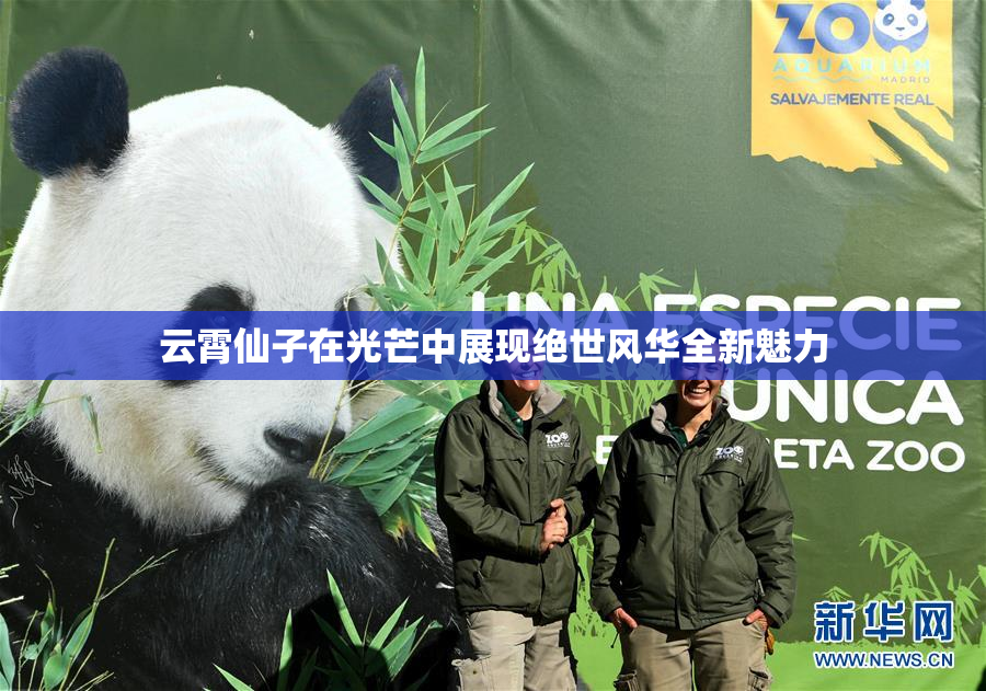 云霄仙子在光芒中展现绝世风华全新魅力
