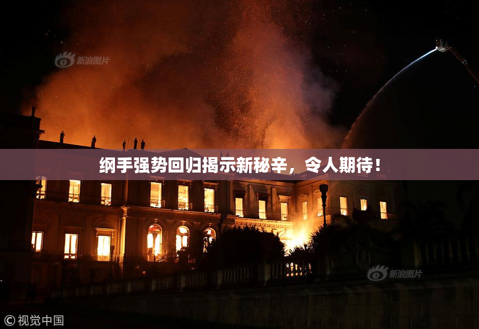 纲手强势回归揭示新秘辛，令人期待！
