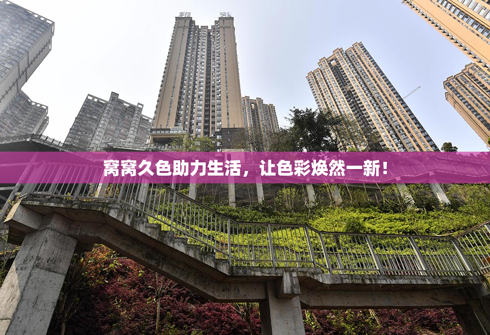 窝窝久色助力生活，让色彩焕然一新！