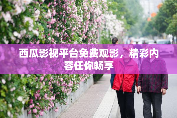 西瓜影视平台免费观影，精彩内容任你畅享