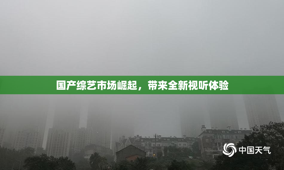 国产综艺市场崛起，带来全新视听体验