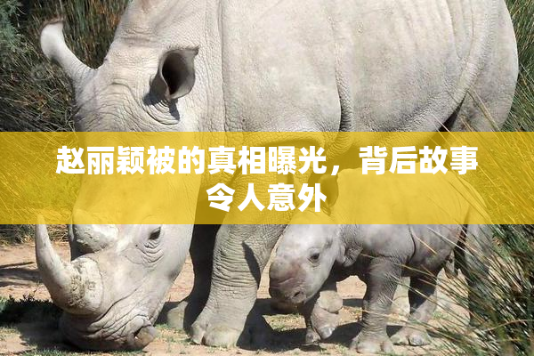 赵丽颖被的真相曝光，背后故事令人意外