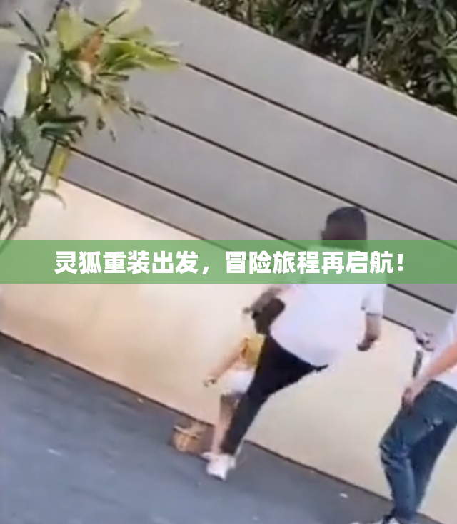 灵狐重装出发，冒险旅程再启航！