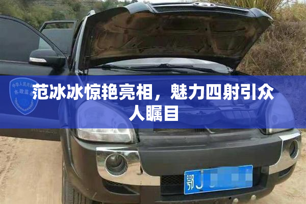范冰冰惊艳亮相，魅力四射引众人瞩目