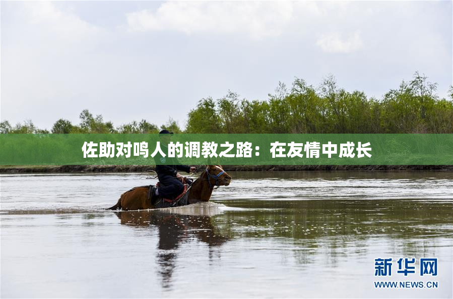 佐助对鸣人的调教之路：在友情中成长