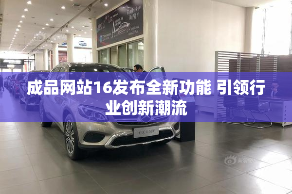 成品网站16发布全新功能 引领行业创新潮流