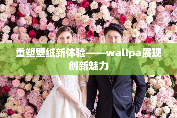 重塑壁纸新体验——wallpa展现创新魅力