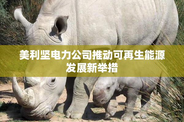 美利坚电力公司推动可再生能源发展新举措