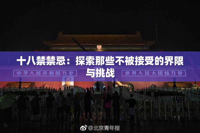 十八禁禁忌：探索那些不被接受的界限与挑战