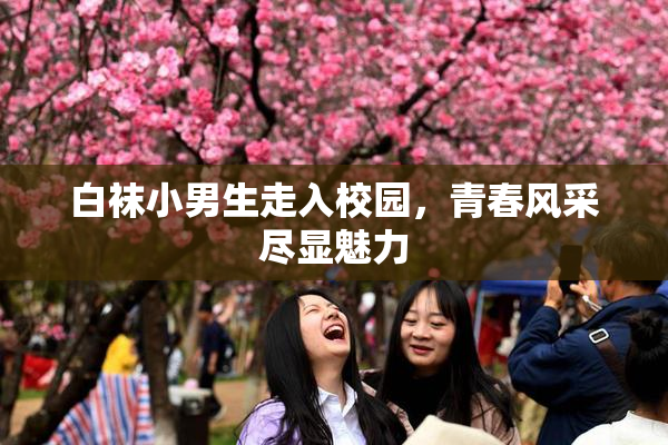 白袜小男生走入校园，青春风采尽显魅力