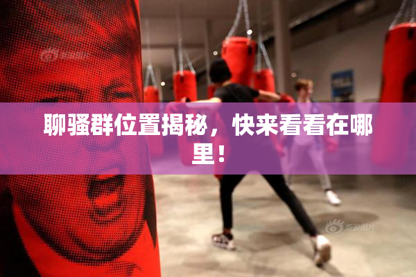 聊骚群位置揭秘，快来看看在哪里！