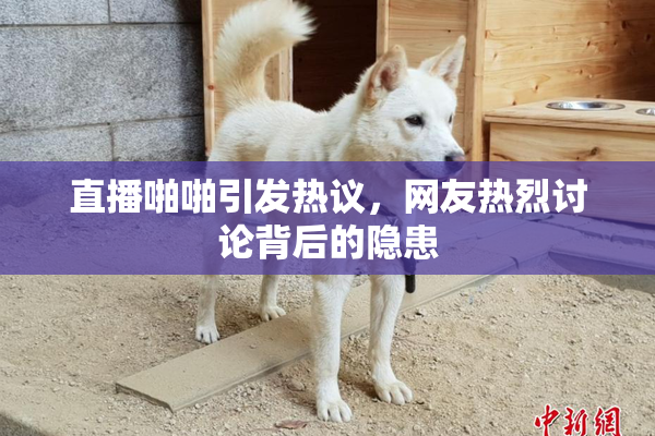 直播啪啪引发热议，网友热烈讨论背后的隐患