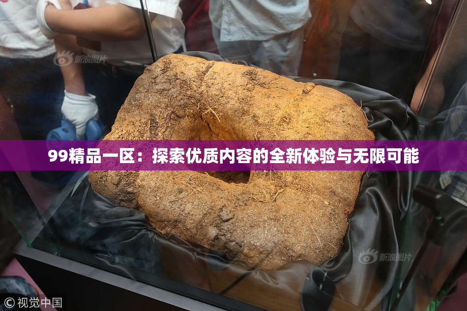 99精品一区：探索优质内容的全新体验与无限可能