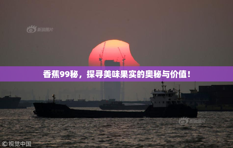 香蕉99秘，探寻美味果实的奥秘与价值！