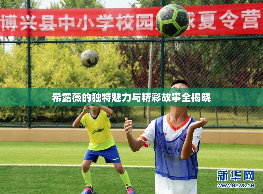 希露薇的独特魅力与精彩故事全揭晓