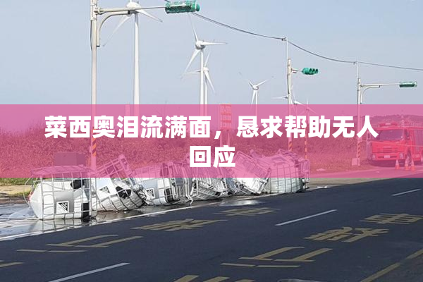 菜西奥泪流满面，恳求帮助无人回应