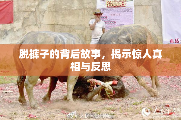 脱裤子的背后故事，揭示惊人真相与反思
