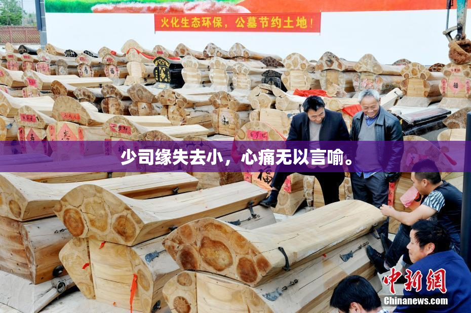 少司缘失去小，心痛无以言喻。