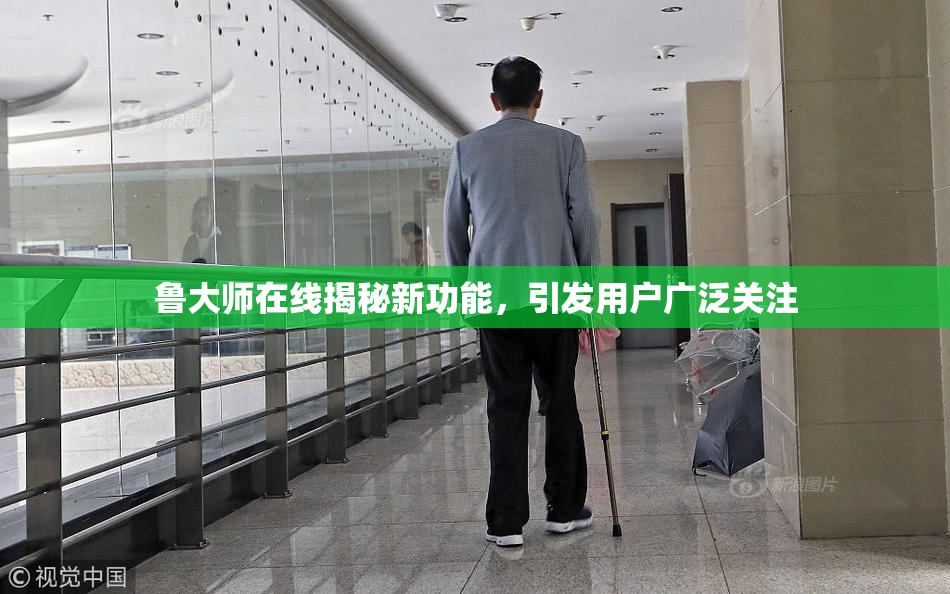 鲁大师在线揭秘新功能，引发用户广泛关注