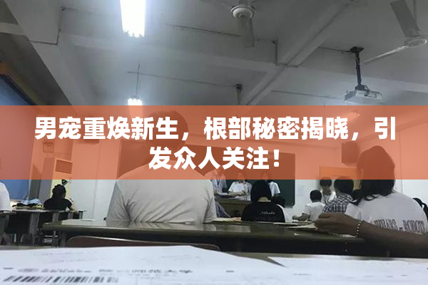 男宠重焕新生，根部秘密揭晓，引发众人关注！