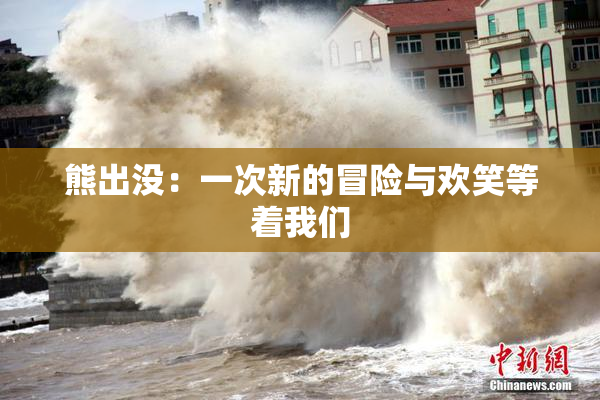 熊出没：一次新的冒险与欢笑等着我们