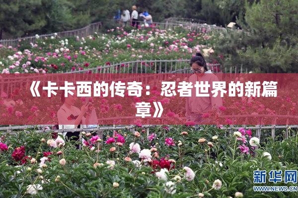 《卡卡西的传奇：忍者世界的新篇章》