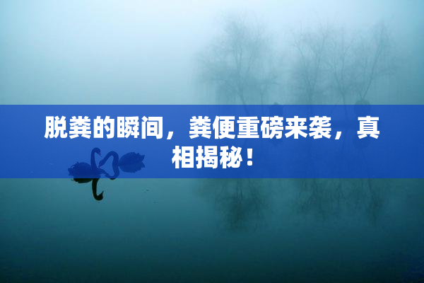 脱粪的瞬间，粪便重磅来袭，真相揭秘！