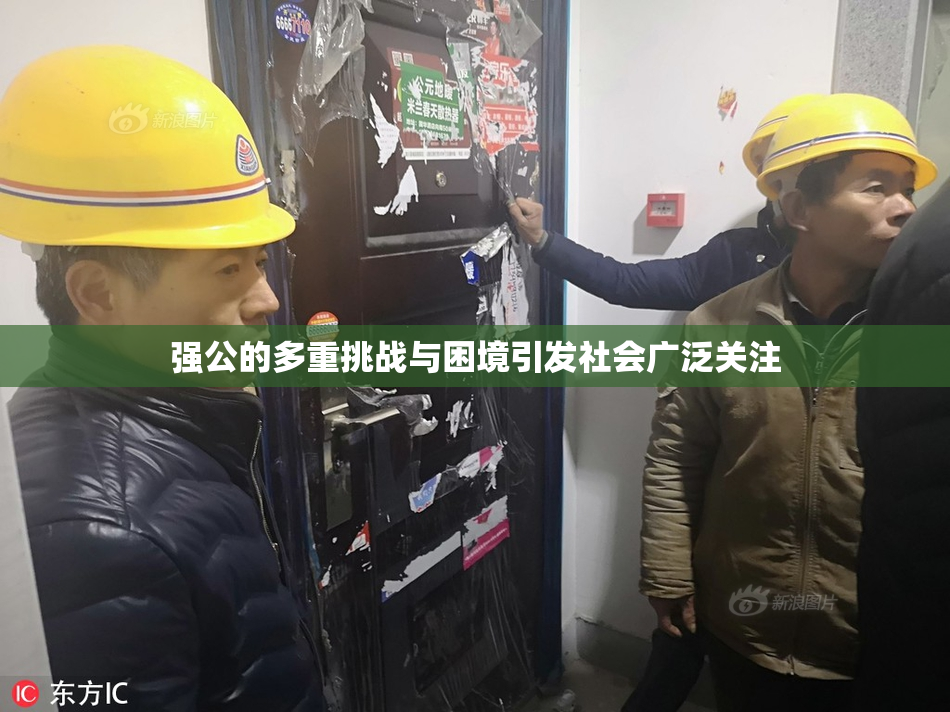 强公的多重挑战与困境引发社会广泛关注