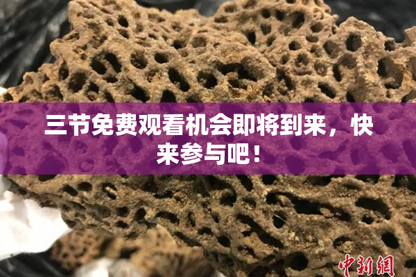 三节免费观看机会即将到来，快来参与吧！