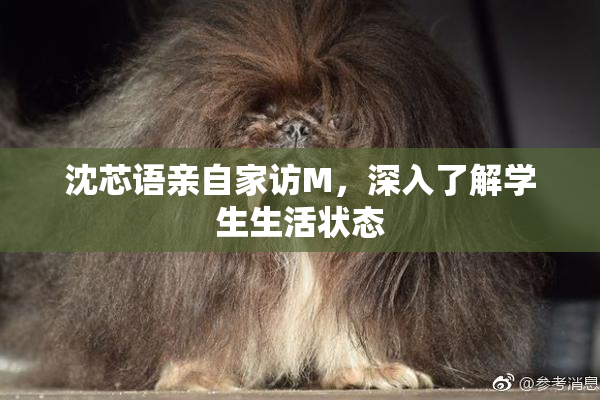 沈芯语亲自家访M，深入了解学生生活状态