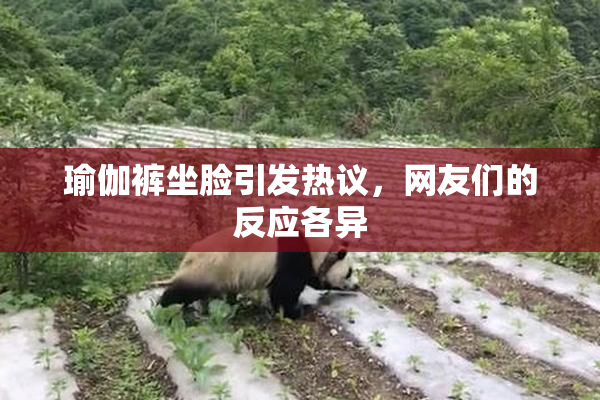 瑜伽裤坐脸引发热议，网友们的反应各异