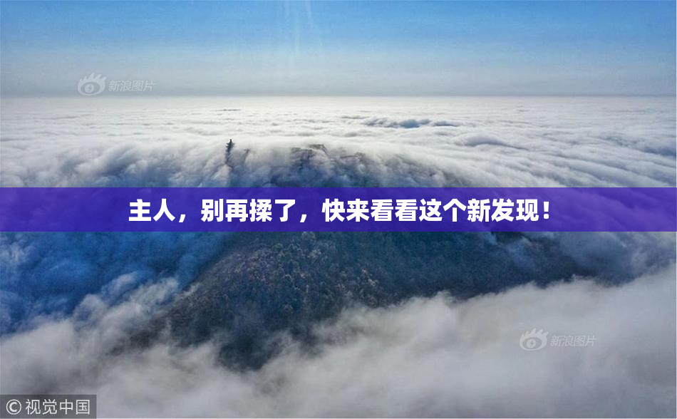 主人，别再揉了，快来看看这个新发现！