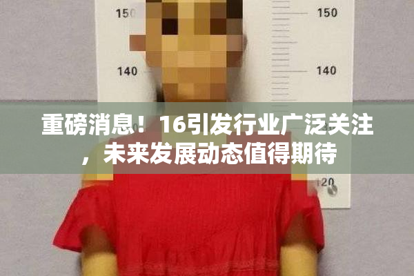 重磅消息！16引发行业广泛关注，未来发展动态值得期待