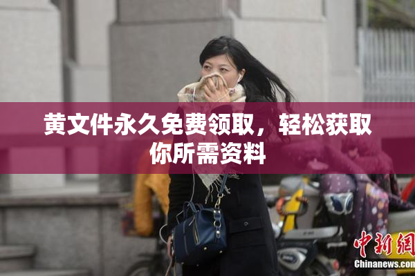 黄文件永久免费领取，轻松获取你所需资料