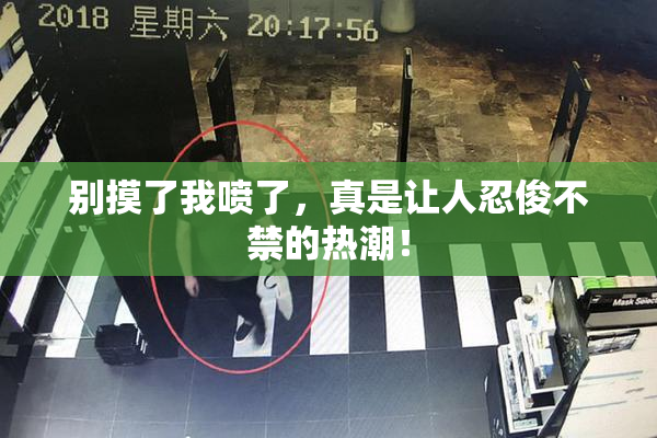别摸了我喷了，真是让人忍俊不禁的热潮！