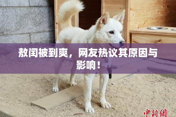 敖闰被到爽，网友热议其原因与影响！