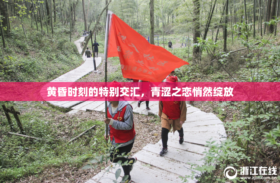 黄昏时刻的特别交汇，青涩之恋悄然绽放