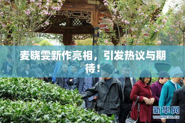 麦晓雯新作亮相，引发热议与期待！