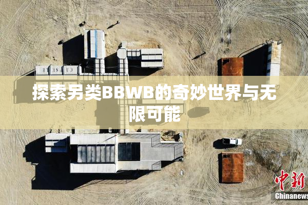 探索另类BBWB的奇妙世界与无限可能