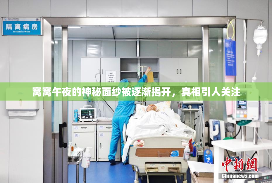 窝窝午夜的神秘面纱被逐渐揭开，真相引人关注