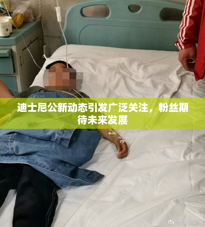 迪士尼公新动态引发广泛关注，粉丝期待未来发展
