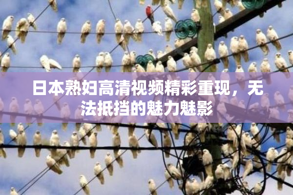 日本熟妇高清视频精彩重现，无法抵挡的魅力魅影