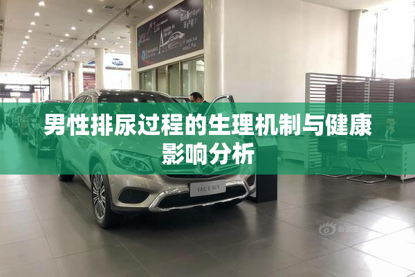 男性排尿过程的生理机制与健康影响分析